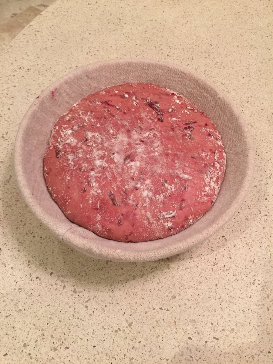 dkn_lifestyle's tweet photo. My beetroot sourdough has proved and is ready to go in the oven #healthybread #sourdough #artisanbread #vegetarianrecipes #tastybread #foodphotography #lifestyleblogger https://t.co/1Wd3hzXAkd