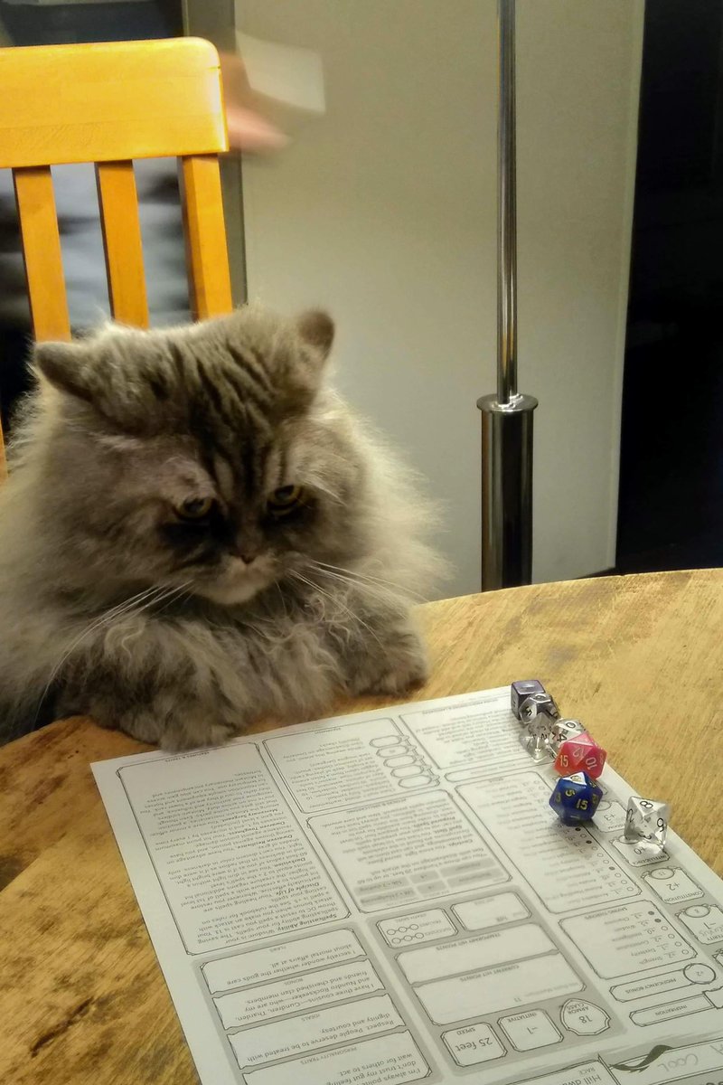 DM: ‘You spot a Beholder in the chamber ahead. Everyone make a roll.’Cat: (passes)Dog: (passes)DM: ‘You both sneak past it-‘Cat: ‘I cast invisibility.’DM: ‘There’s no need-‘Cat: ‘I cast invisibility.’DM: ‘Erm... Okay... you vanish.’Dog: ‘?’Cat: ‘I cough loudly.’