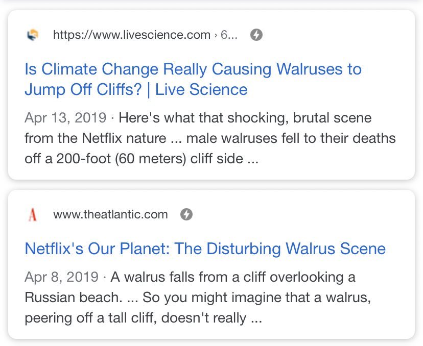 humans burning fossil fuels are the main cause for global warming; which is also the main reason why whales beach themselves and walruses jump off cliffs. not enough media coverage about it for obvious reasons being humans care more about... materialistic things i suppose.