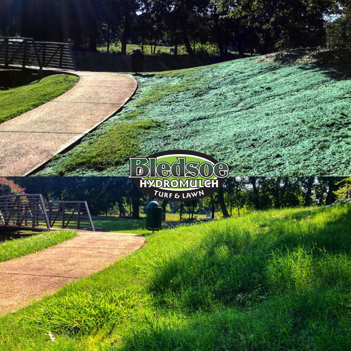 hydromulch's tweet photo. #hydromulch #landscape #landscaping #commercialcontractor #lawnrejuvenation #lawnrepair #luxurylawn #lawninstall #hydromulching #hydroseeding #erosioncontrol #shadegrass #planotx #dallastx #friscotx #mckinneytx #bledsoehydromulch #wellblowyourgrass #ryegrass #fescue #grass https://t.co/cDaeaUDvUd
