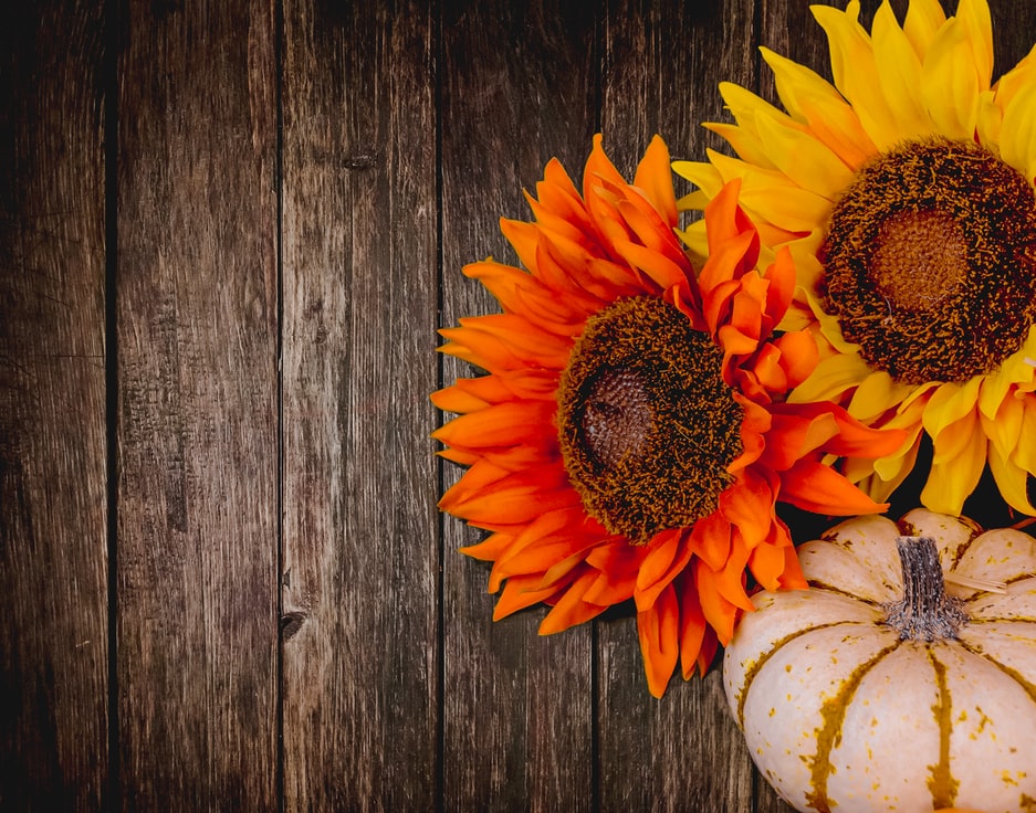 capitolhillcg's tweet photo. Happy Thanksgiving from all of us at Capitol Hill Consulting Group! https://t.co/m1RSsrzGKx