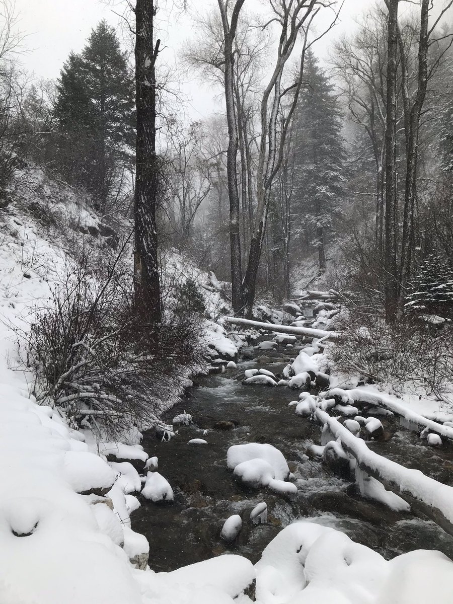 This week, look around and be grateful. Be empathetic, the holidays can be heartbreaking. And go outside, even if it’s cold.