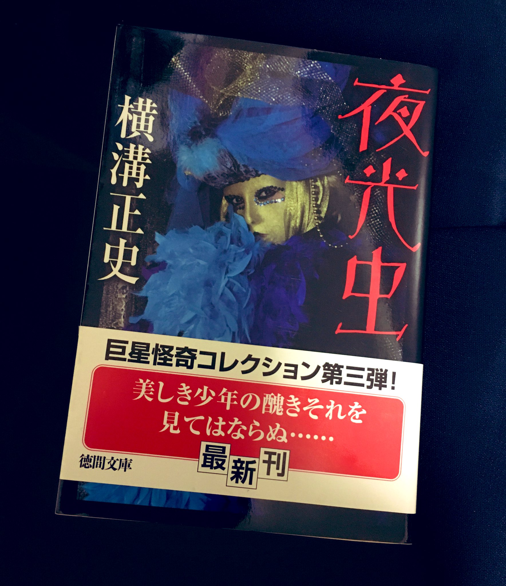 A子 A Twitter 漫画読む前に原作も勿論読んだー 由利先生読むのは蝶々殺人事件以来 2作目だったけど 蝶々とは雰囲気違って 三つ首塔やジョブナイルっぽい雰囲気あった 面白くて止まらなかったこれ 横溝正史 夜光虫 A子 A Twitter 漫画読む前に原作も勿論読んだー 由利先生読むのは蝶々殺人事件以来 2作目だったけど 蝶々とは雰囲気違って 三つ首塔やジョブナイルっぽい雰囲気あった 面白くて止まらなかったこれ 横溝正史 夜光虫