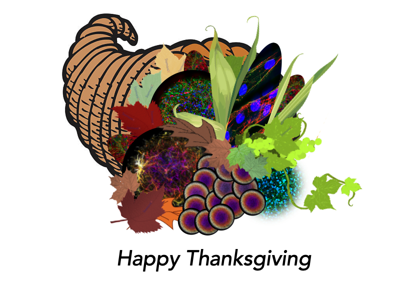 StemoniX's tweet image. From all of us at StemoniX with gratitude for our customers, our investors, and our amazing employees. 

(Can you find our #microHeart, #microBrain3D, #microBrain2D, and logo in the cornucopia?)