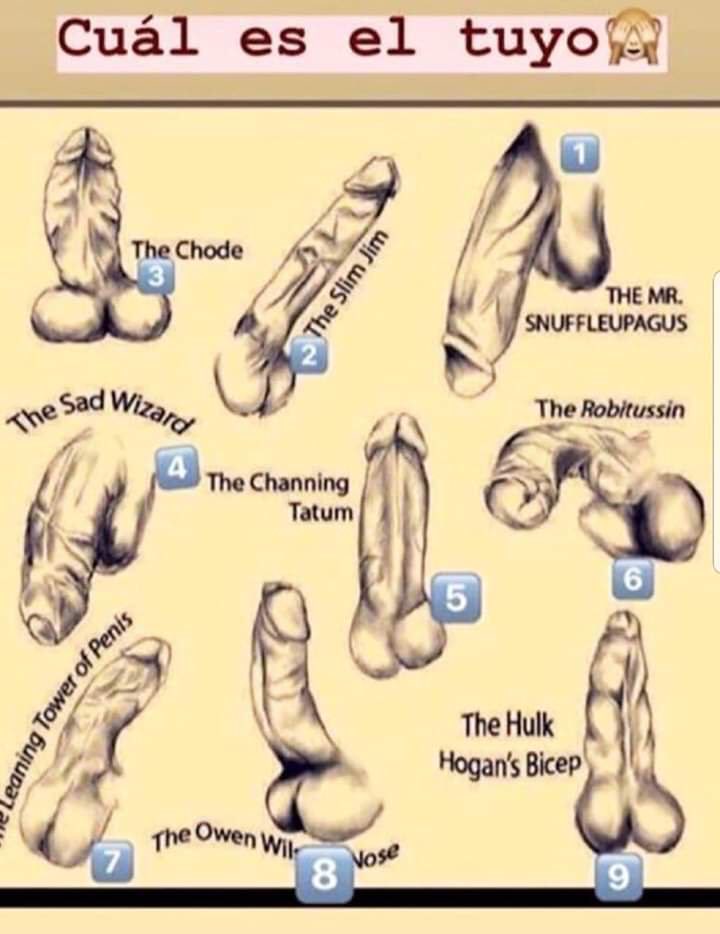 Judy & Nick 🐇🦊 tweet media