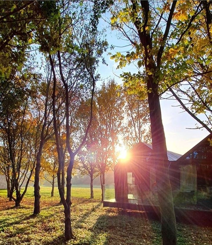CotswoldsInfo's tweet photo. The new lodges @FeldonValley are nestled on the wood line of the golf course with fabulous Cotswold views: 25 ensuite rooms, an onsite fine dining restaurant and of course the 18-hole golf course https://t.co/t6JX7KT8XN https://t.co/13vV7LDl0v