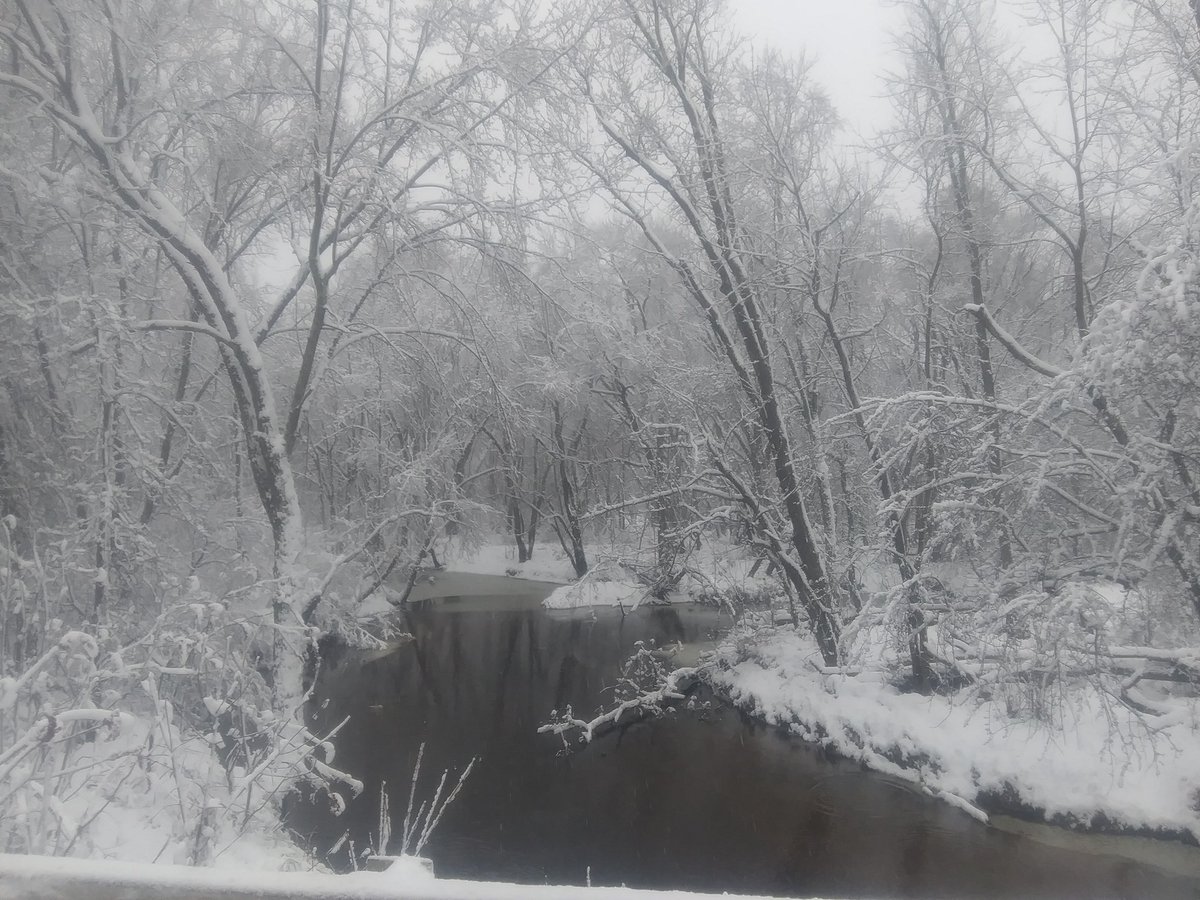 JenWisconsin's tweet image. Clark County Wisconsin
North fork river.  
November 20. 2019.