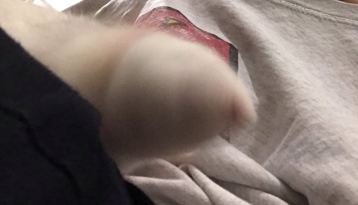 pictures taken at unfortunate moments.