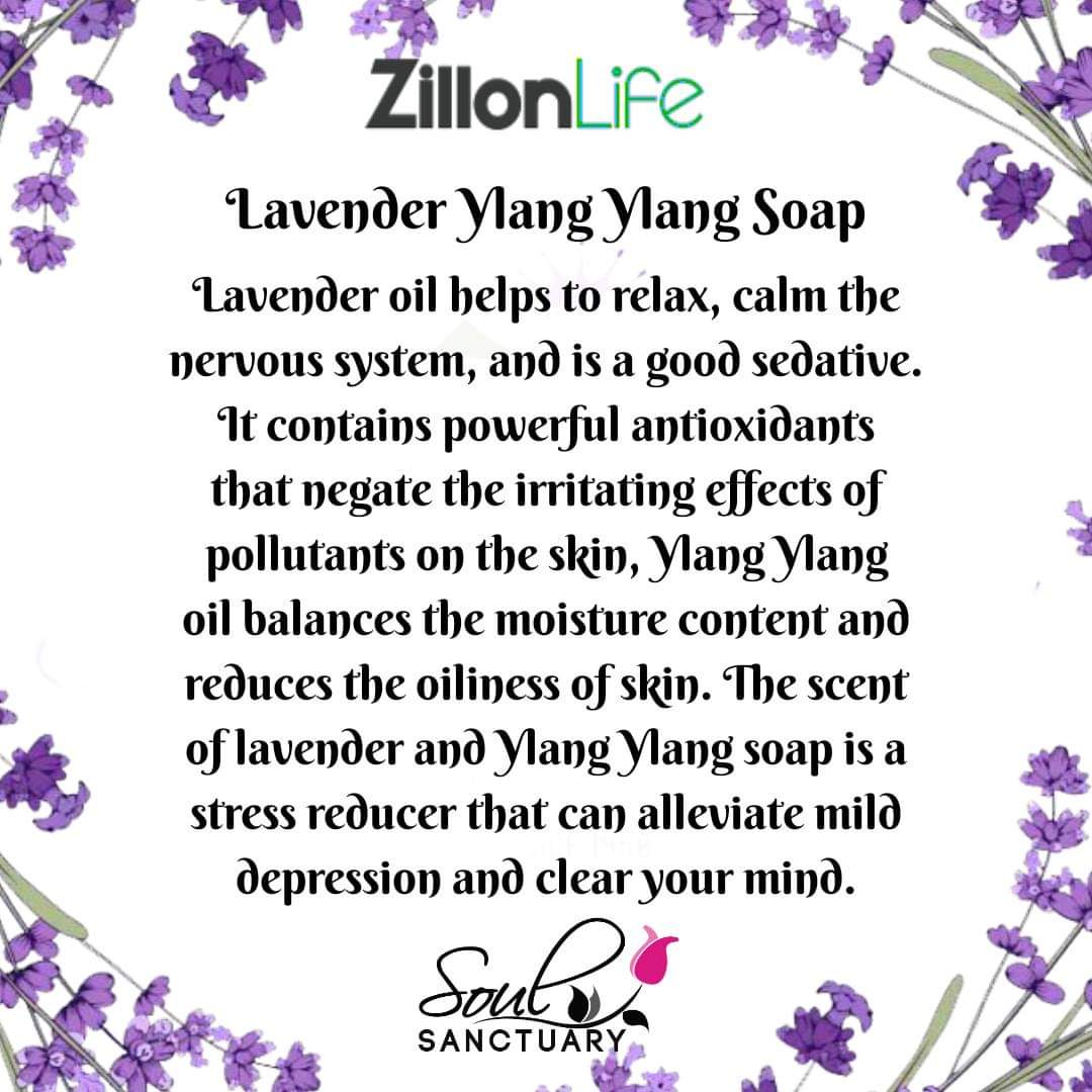 varshaajainn's tweet photo. #Zillonlife #Soulsanctuary #Premium #Lavenderylangylang #Lavendersoap #coldprocesssoap #handmadesoap #antioxident #goodsedative #Chemicalfree #handmade #bathandbeauty #essentialoils #flowers #natural
Buy Now๐๐ป
https://t.co/WyfDgYk5bU
DM for more info๐ฒ
https://t.co/aBJ7gxiHeC https://t.co/9FhxDRSeVe