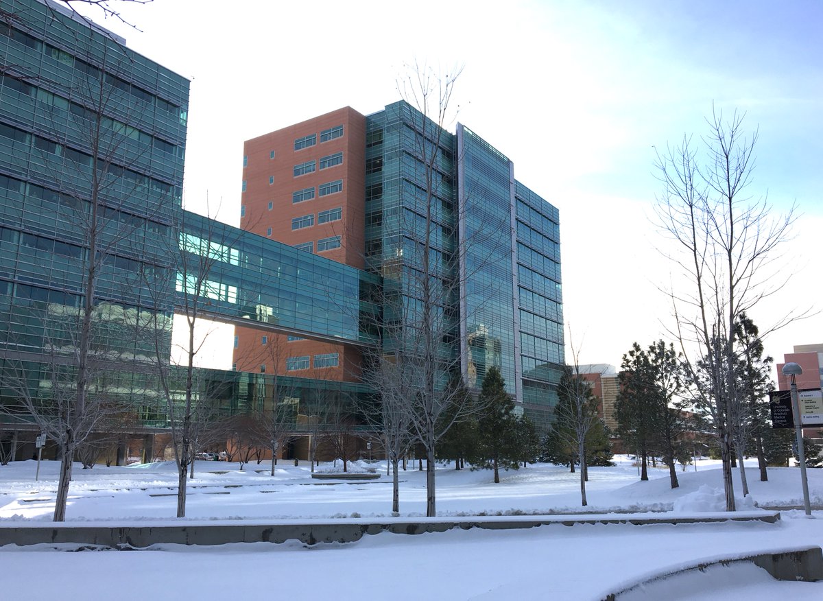 CSD_CUAMC's tweet photo. Good (snowy) morning from campus! I'm Katie, PI of @Fantauzzo_Lab and today I'll be overseeing the #CSDtakeover. It's a quiet day on campus after the storm and before the holiday. Sometimes these are the most productive days in the lab! https://t.co/f5uNJ41efH
