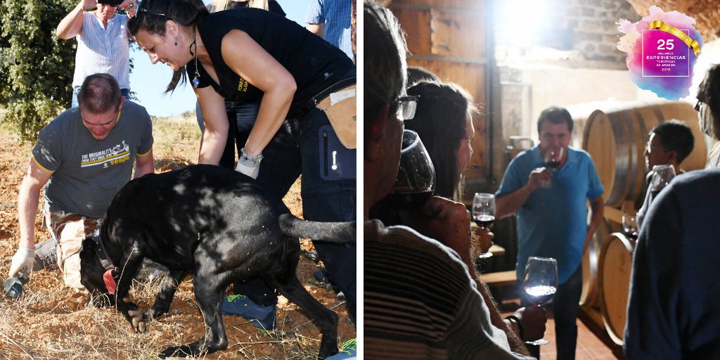 🍷DÍAS DE VINO Y TRUFA una actividad que une trufa negra, #vino, #gastronomía, territorio y pasión, elegida finalista a Mejor Experiencia Turística de Aragón 2019. Muy orgullosos👏👏 Podéis verla en nuestra web 
<a href="/forestaalgairen/">@antropomusa</a> <a href="/LaReboticaZgz/">LaRebotica-ClaraCros</a> #Turismogastro