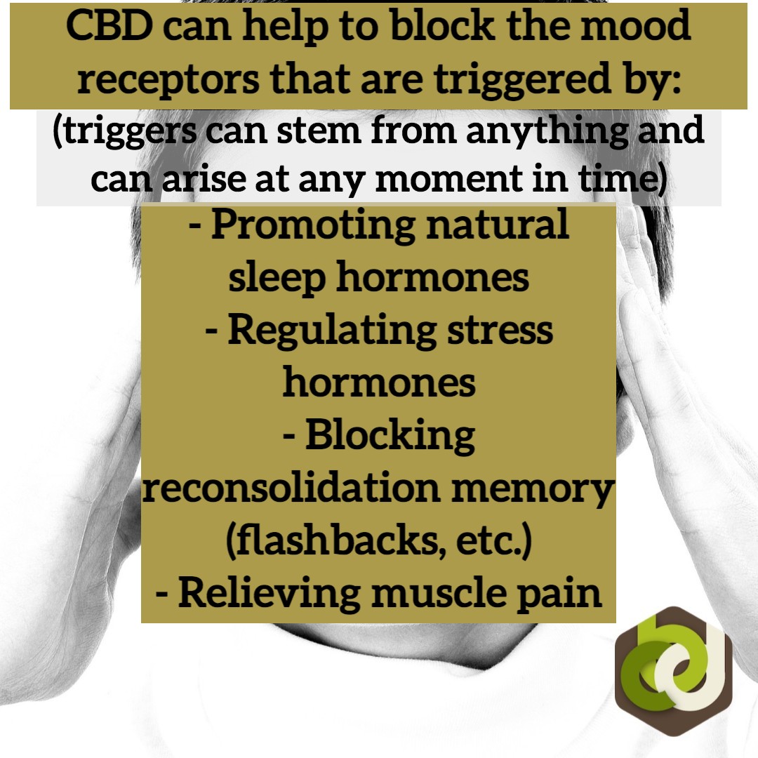 Studies have proved that CBD can help people suffering from PTSD❗Share this information with the ones around you suffering from it. 😁
-
-
-
#CBD #ptsd #posttraumaticstressdisorder #cbdhelps #cbdhealth #cbdlife #disorders #sad #stress #anxiety