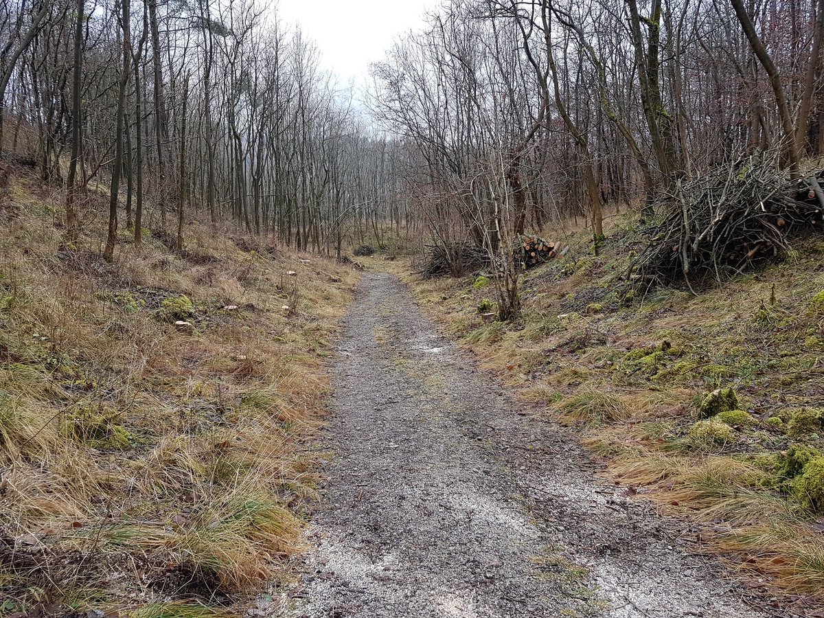 Yorkshire Wildlife Trust - North Yorkshire tweet media