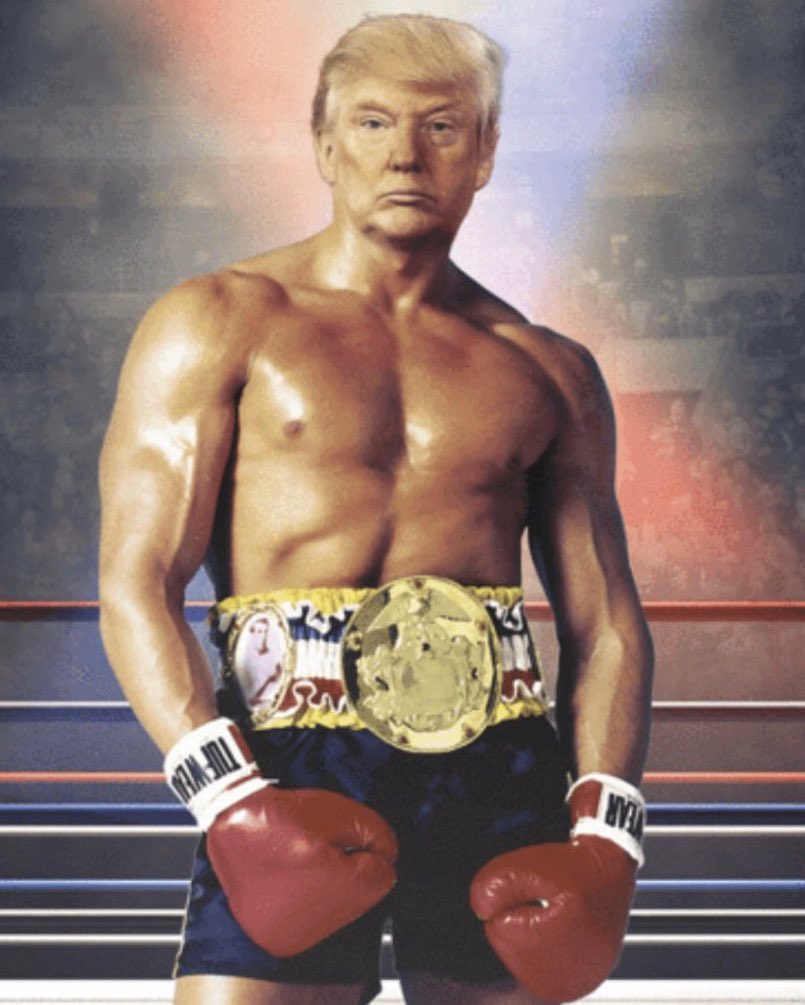 Image result for trump rocky