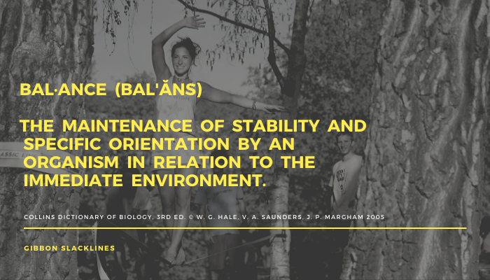 Slackline...or the best #proprioception and #balance training tool?