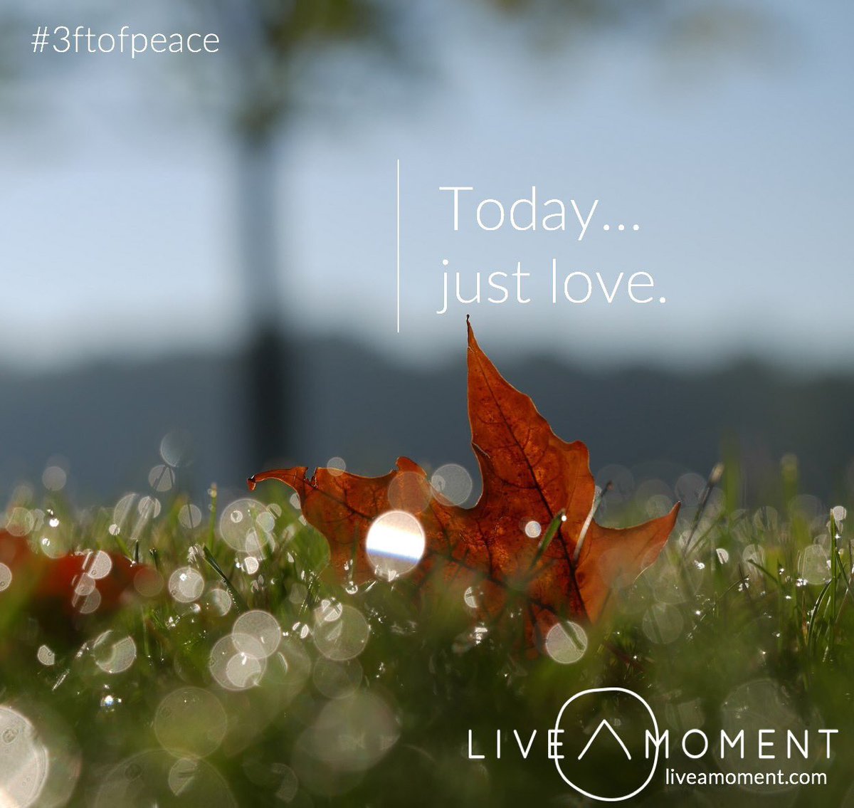 _LiveaMoment_'s tweet photo. As we make our way into the holiday... just for giggles, let’s try!
#3ftofpeace https://t.co/93QqUCxNsS