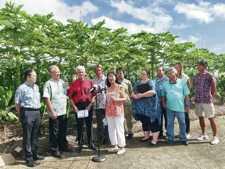 StarAdvertiser's tweet photo. Homeless shelter’s new garden offers opportunity for learning #HomelessInHawaii https://t.co/VfIJy9RMwv https://t.co/pmK8L7m8vA