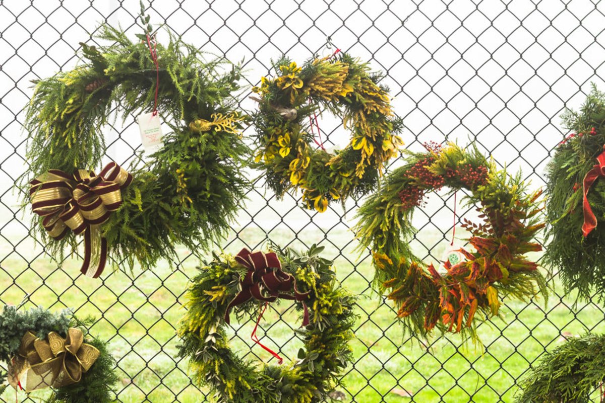 UBCgarden's tweet photo. Stop by the Shop in the Garden for our annual Wreath Sale.  Beautiful wreaths  handcrafted by Friends in the Garden are coming in daily! While supplies last.

 #ubc #ubcgarden #vancouver #vancity #bcgardens https://t.co/AtojEH45Ro