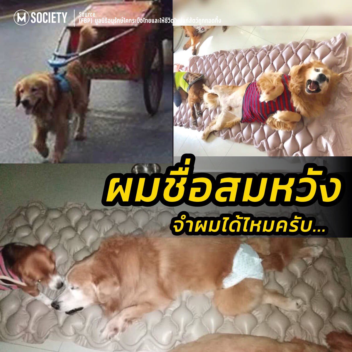 𓂋 🧸 บะบิ 🫳🏻🫳🏻 WOODZ tweet media