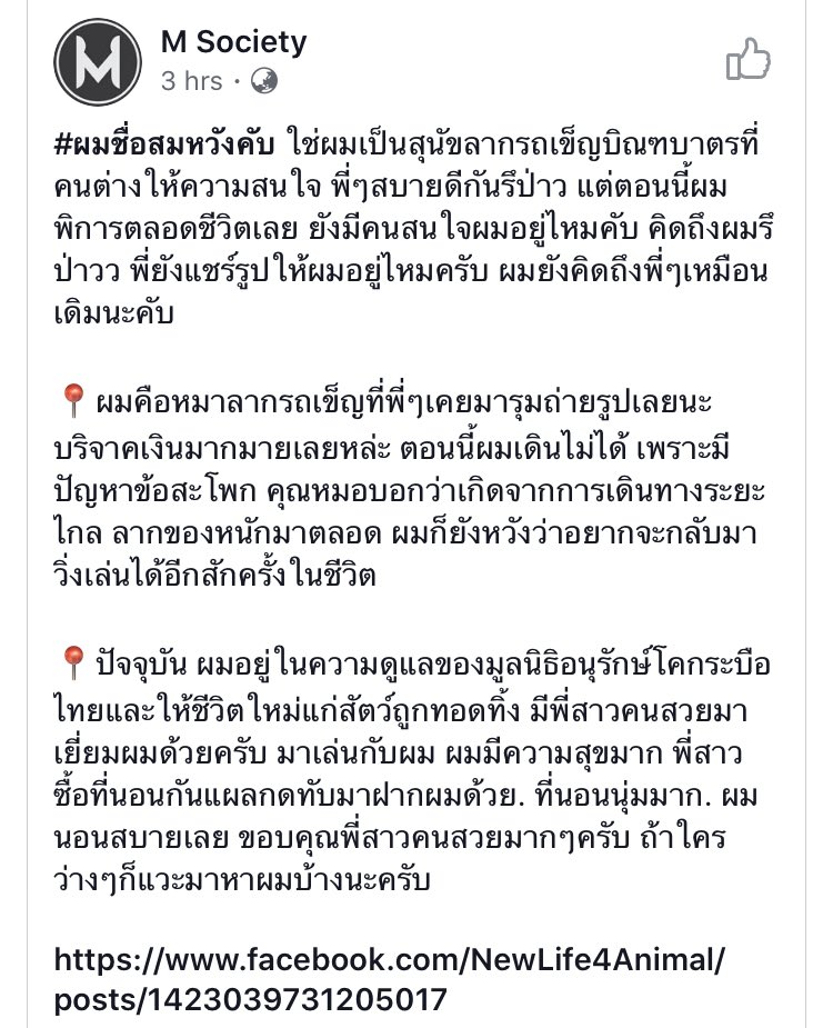 𓂋 🧸 บะบิ 🫳🏻🫳🏻 WOODZ tweet media