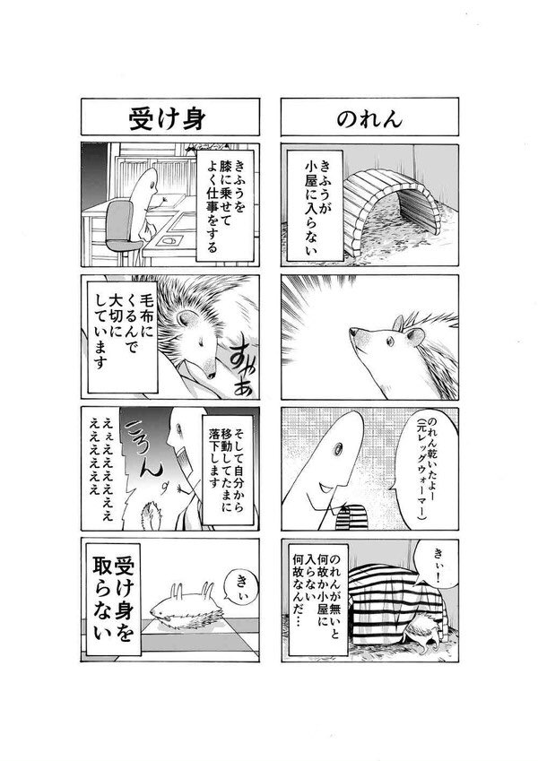 #ハリネズミとことこきふうちゃん 