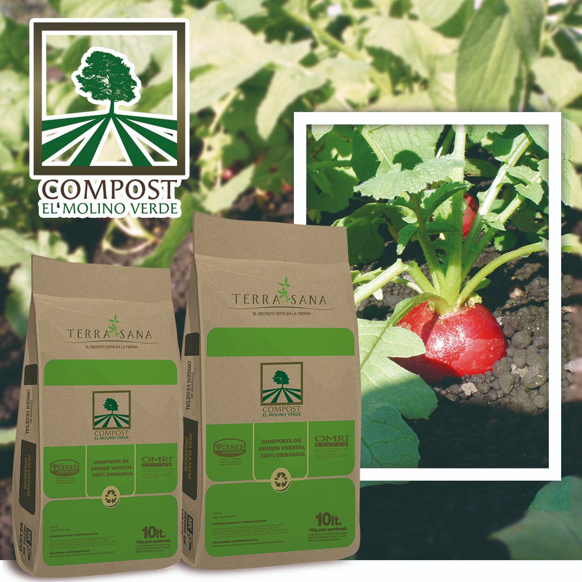 Compostverde's tweet image. Tu huerto 100% orgánico con Compost El Molino Verde 🥬🥦🥕🌽
🔴COMPOST El Molino Verde es utilizado para nutrir orgánicamente los cultivos y mejorar el suelo, aportando los nutrientes necesarios para tener y mantener plantas y cultivos fuertes #elsecretoestáenlatierra #orgánico