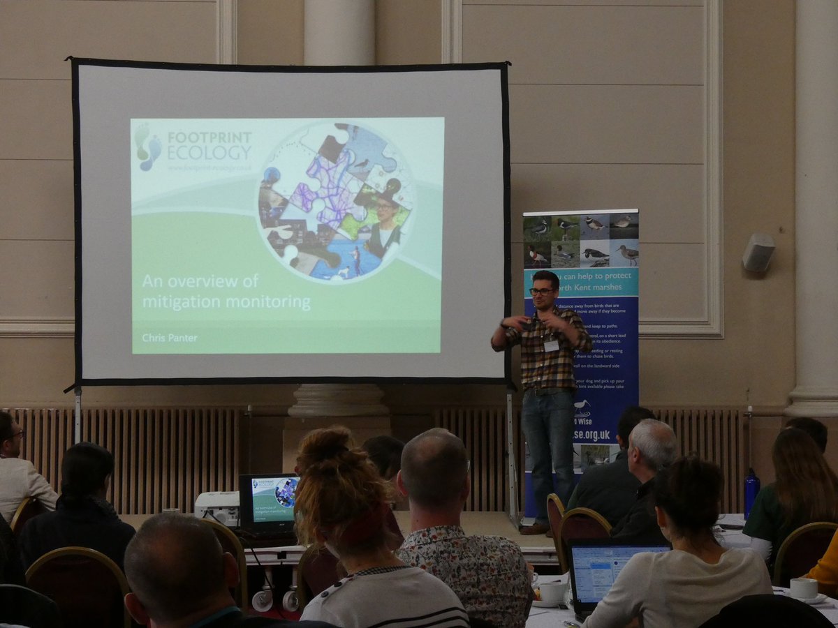 Birdwisenk's tweet photo. A huge thank you to everyone that attended today’s #mitigationmeetup. We hope you enjoyed it, we certainly did! See you next year 🦆🐶😁👏@TBHPartnership @MBP_Projects @BirdAwareSolent @mark_nowers https://t.co/Kt4eyanBXT