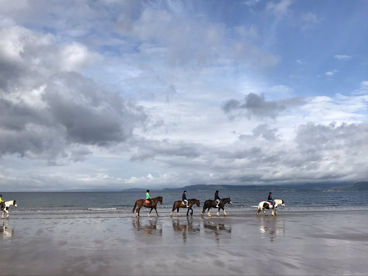 ☘️ Today in Ireland ☘️ tweet media