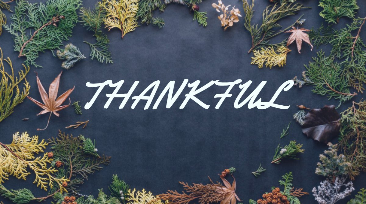 vardata's tweet image. We wish everyone a Happy Thanksgiving! Be safe and enjoy the time with your family and friends. #thanksgiving #thankful #HappyThanksgiving