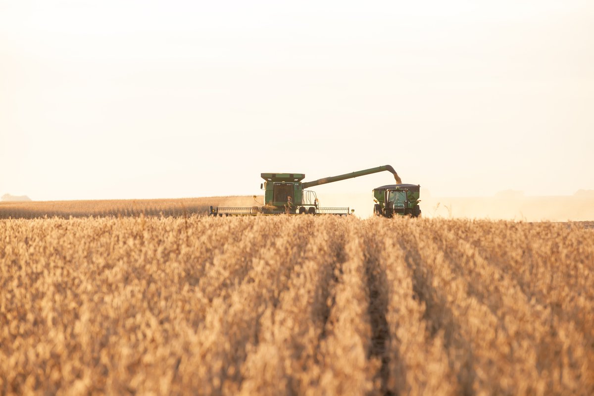 As you are outlining 2020 input planning, what are you looking for in a #fertilizer? #CropNutrition