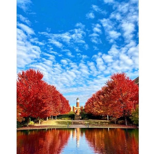 ouhsc_ipe's tweet photo. Thankful for all of our students, staff, and faculty who champion interprofessional education at OU🦃 #OUHSCIPE https://t.co/n3ahrOM7K3