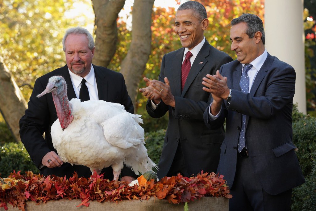 AuthorJoeNBrown's tweet photo. #ObamaOutDoesTrump #ObamasThanksgiving  #ThanksgivingClapback https://t.co/8RJRgEnf3F