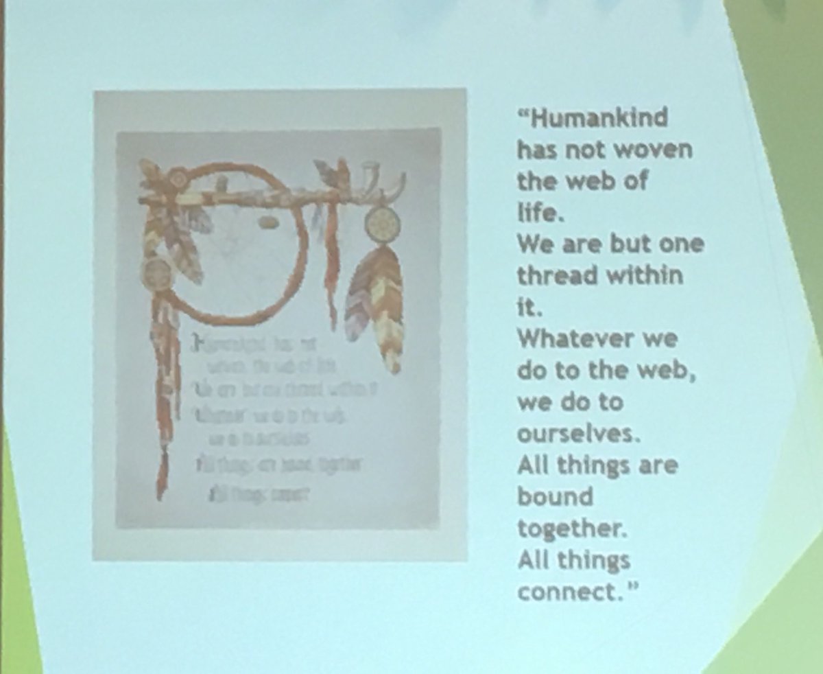 Stephanie Connidis tweet media