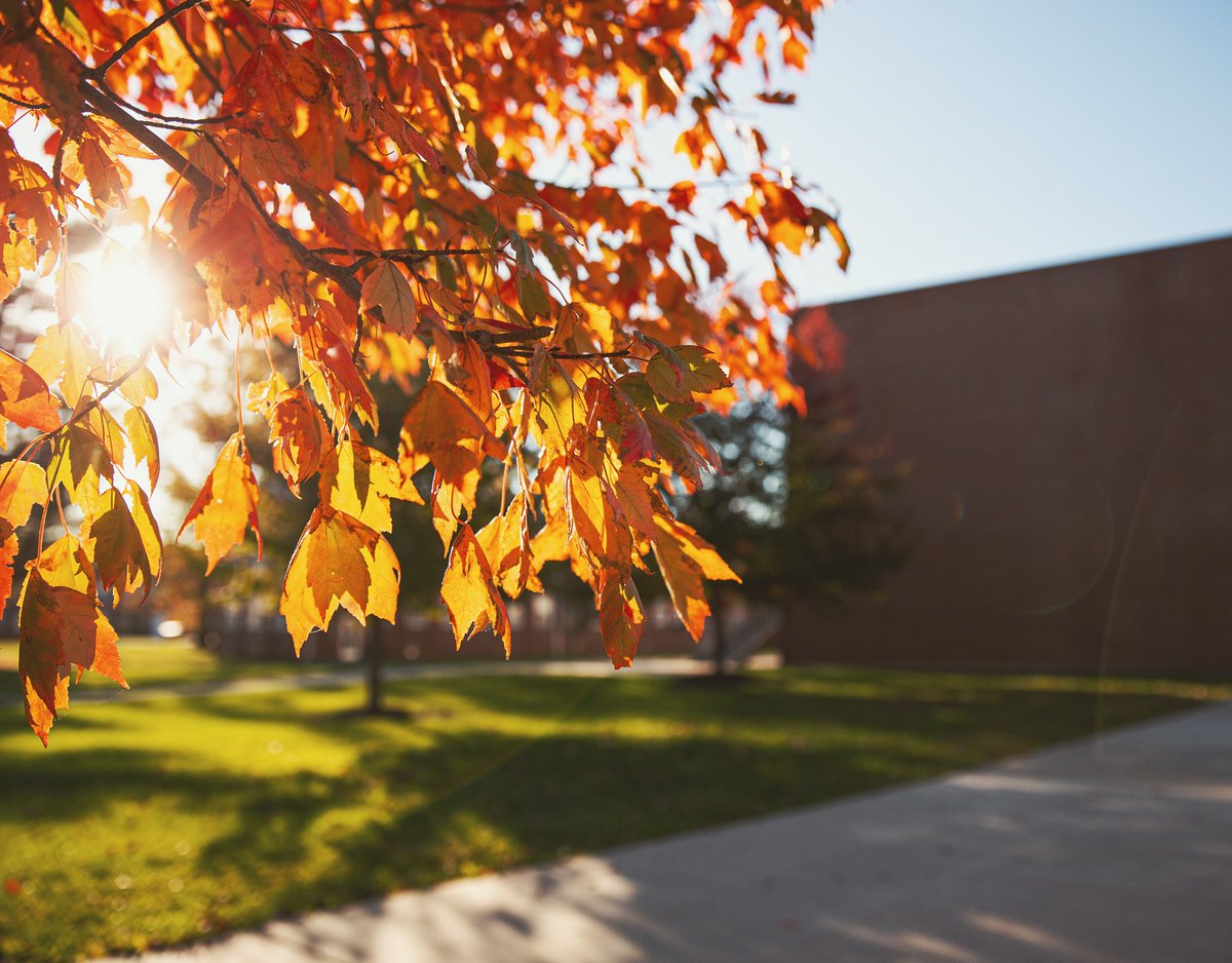 The University is closed from November 27th - 29th in observance of the Thanksgiving Holiday. We will re-open on December 2nd.

You can still apply online: bit.ly/2JEml3I
