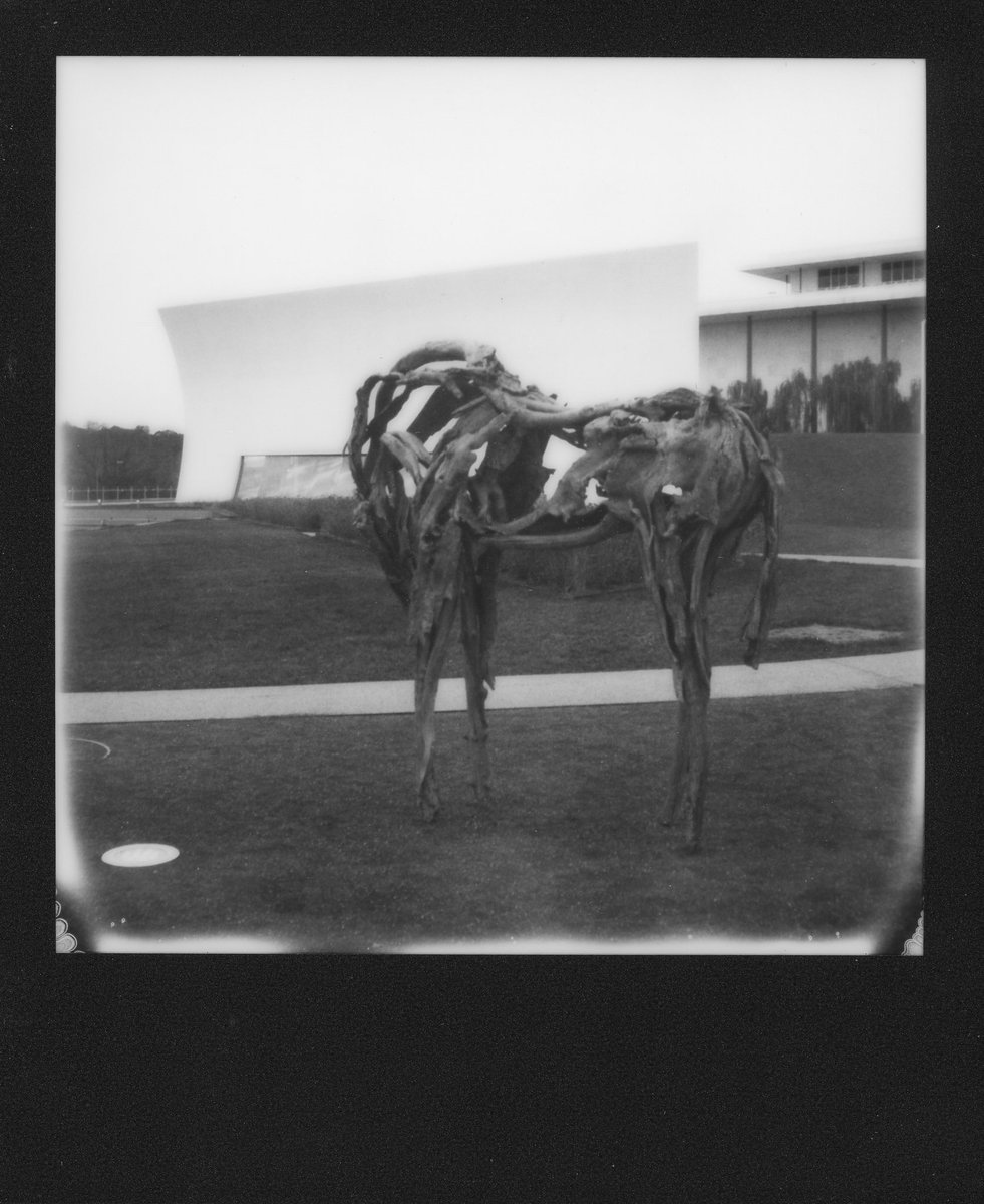 StephaneChongCH's tweet image. The REACH at the Kennedy Center
#polaroidoriginals #instantfilm #mintcamera