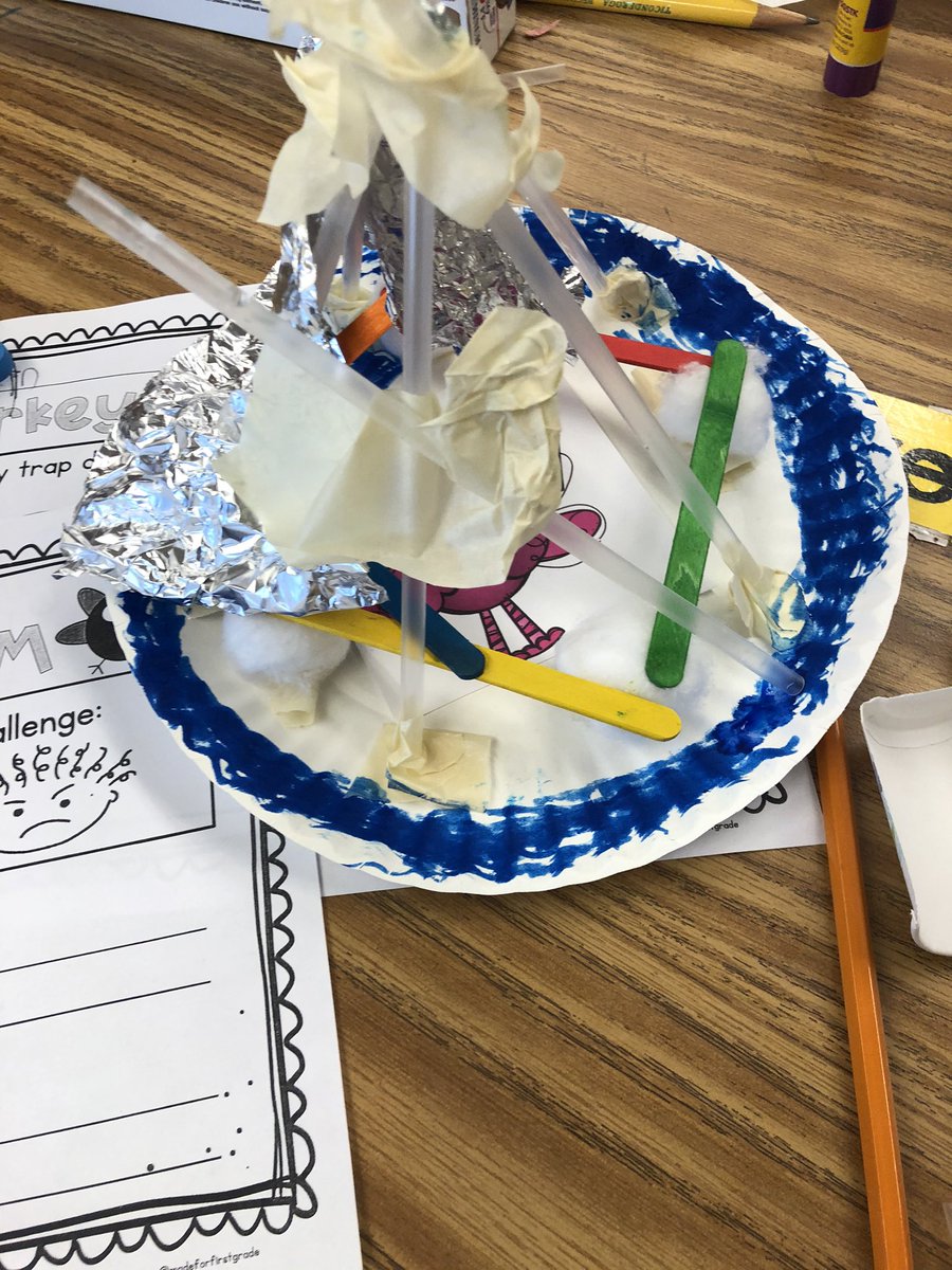 We were trying to catch our turkeys today! This group succeeded!