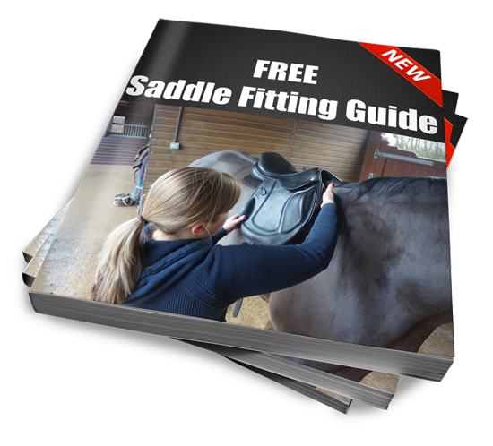 TheSaddleBank's tweet photo. Does your saddle fit your horse?

Find out in our FREE Saddle Fitting guide. 

Click here to download
https://t.co/TjqxX23fxy https://t.co/fiNHqoouVs