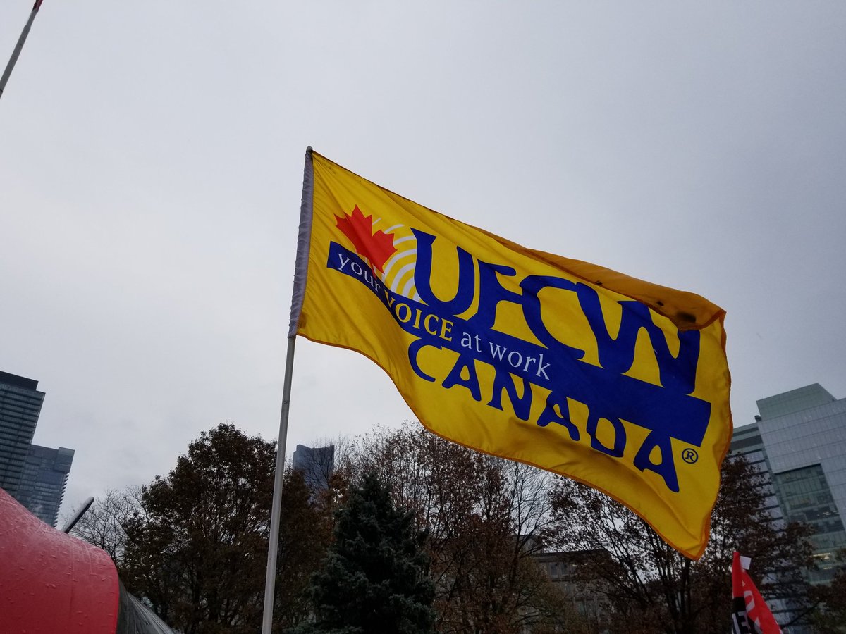 UFCWCanada's tweet photo. #UFCW activists are with #OFL2019 delegates at Queens Park to tell Doug Ford that the cuts &amp; attacks on workers must stop! #canab #1u https://t.co/RcCvMGrCsl