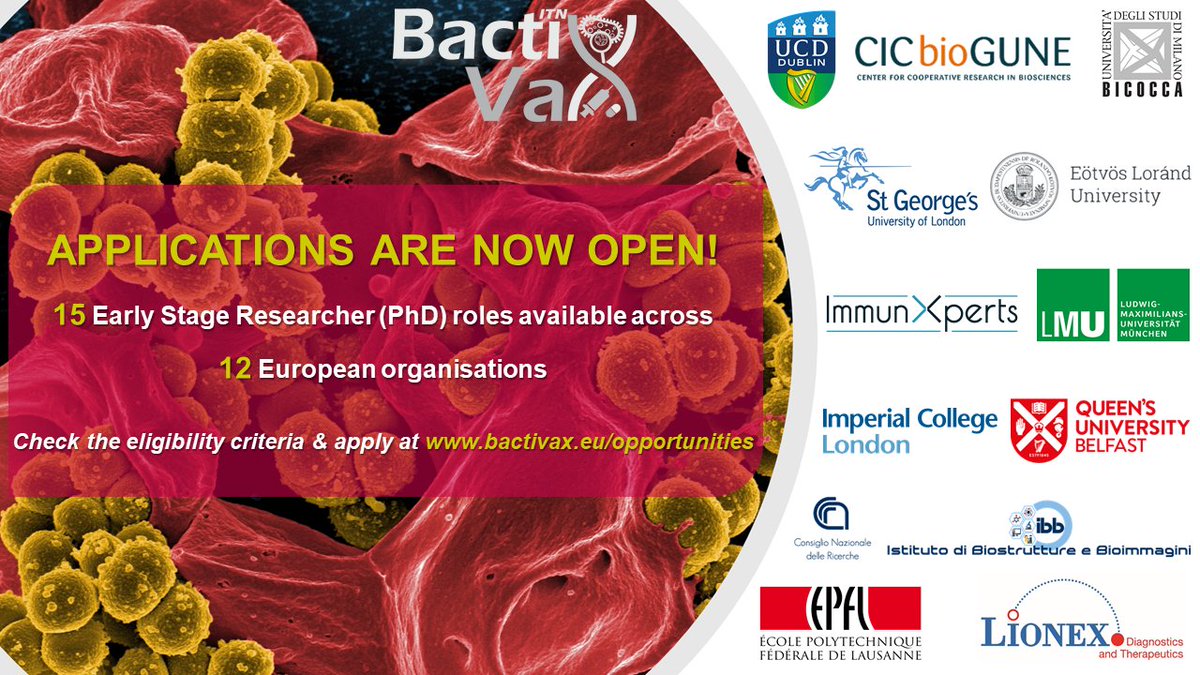 15 PhD opportunities in #VaccineResearch available throughout Europe! Check our projects: bactivax.eu/opportunities &amp; apply before 31st December 2019. Funded by <a href="/MSCActions/">Marie Skłodowska-Curie Actions</a>! <a href="/mariescurie_ire/">MarieS-Curie Ireland</a> <a href="/mcclean_siobhan/">Siobhán McClean</a> @ValvanoMiguel <a href="/AnguitaLab/">Anguita Lab</a> <a href="/jjbarber0/">JJB</a> <a href="/GlycoNmr_Bilbao/">GlycoNMR@Bilbao</a>  @Daltmann10