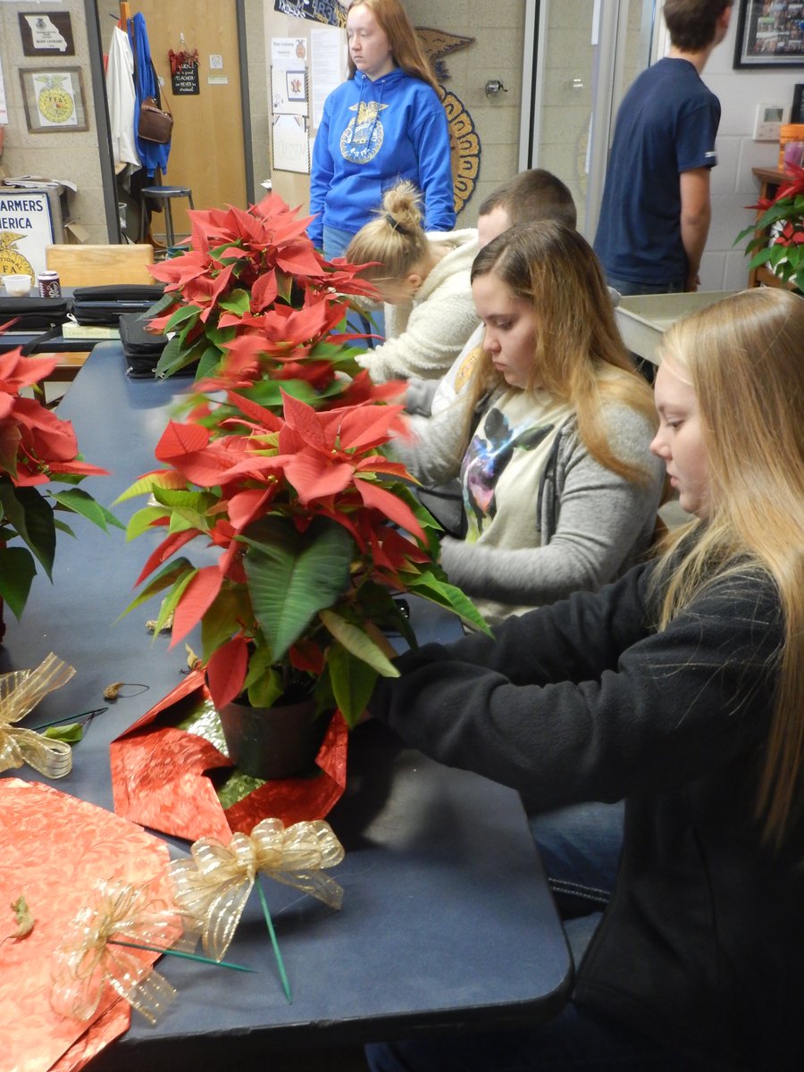 mocor2ffa's tweet photo. The Greenhouse class elves have been working hard.  The first wave of orders went out yesterday and Hopewell Church came to pick up theirs this morning to decorate the church with.  Happy Holidays for the Montgomery Co. R-II Ag Department and thank you for all of your support! https://t.co/B0zfae3Zxs