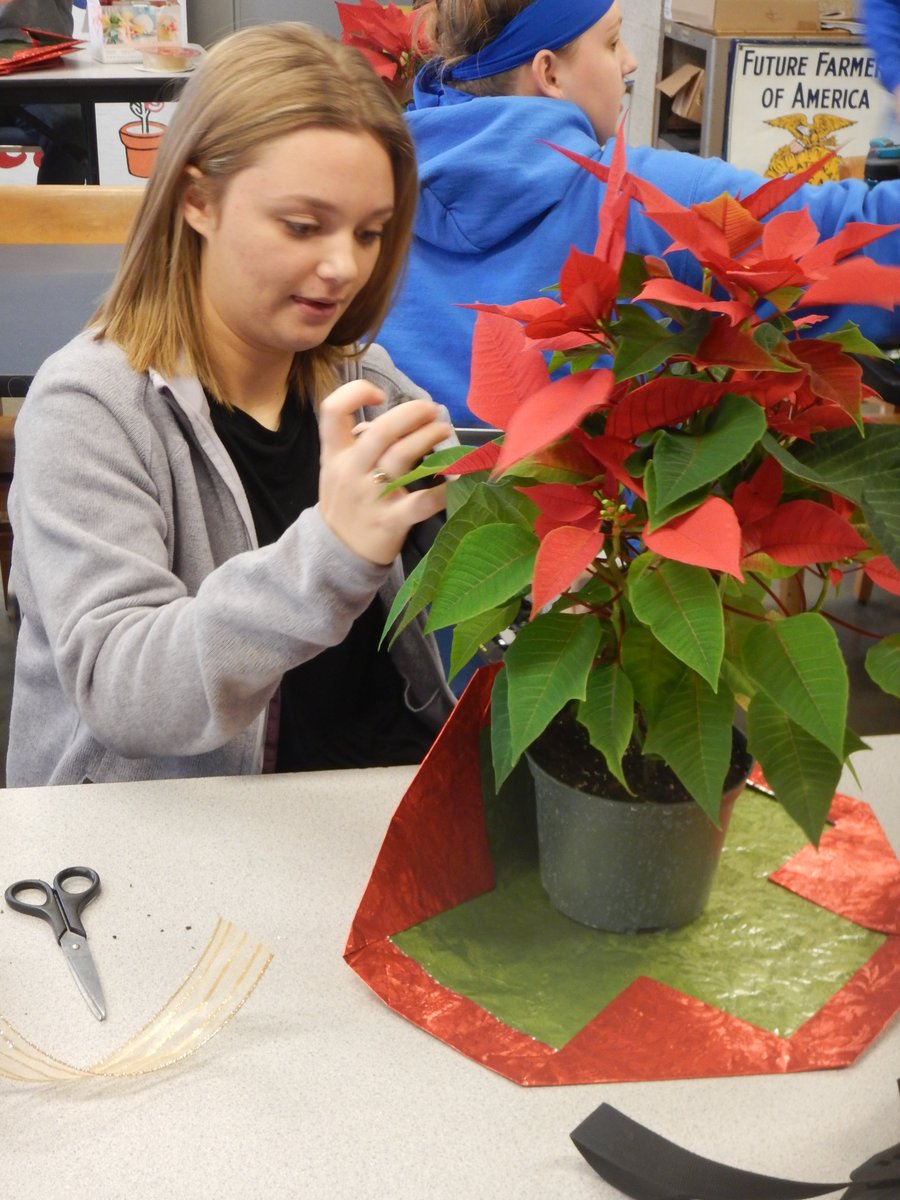 mocor2ffa's tweet photo. The Greenhouse class elves have been working hard.  The first wave of orders went out yesterday and Hopewell Church came to pick up theirs this morning to decorate the church with.  Happy Holidays for the Montgomery Co. R-II Ag Department and thank you for all of your support! https://t.co/B0zfae3Zxs