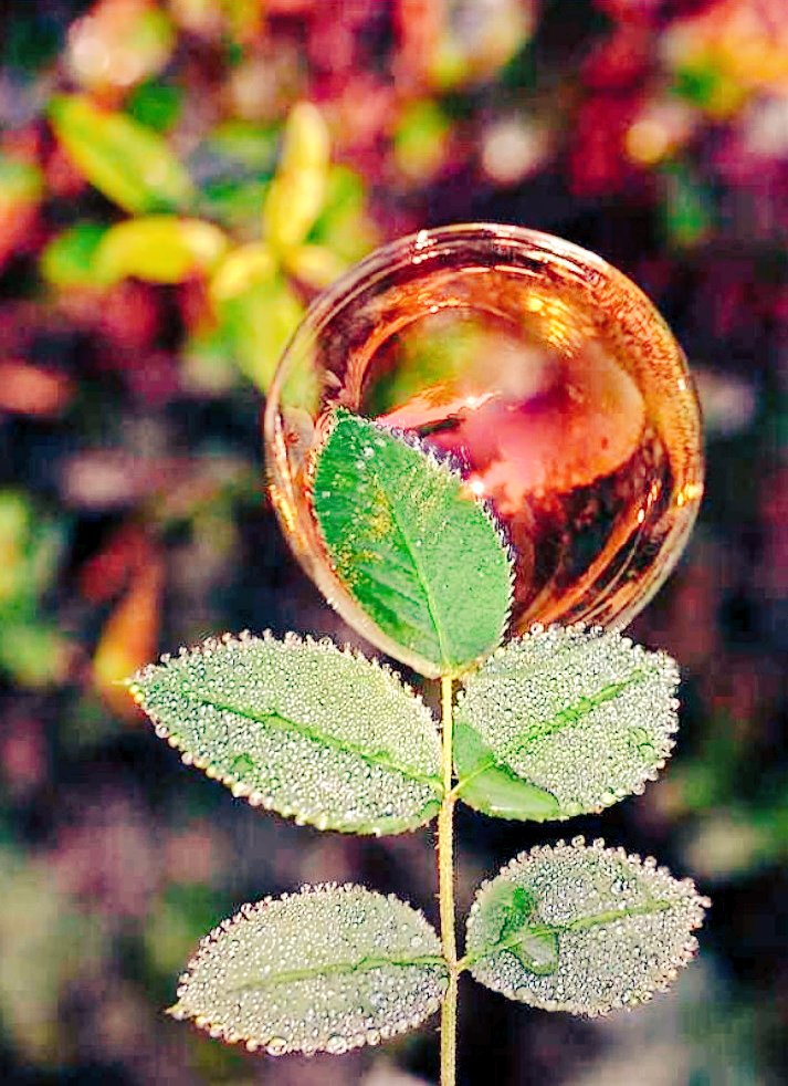 jenisri3's tweet photo. மறு ஜென்மம் ஒன்று இருந்தால் 
நான் மரமாக பிறக்க வேண்டும்.. 
மனிதர்கள் அவைகளை அழித்தாலும் 
மீண்டும் நம்மையே
 செய்கின்றன.. ! https://t.co/ysHN0gyGyl