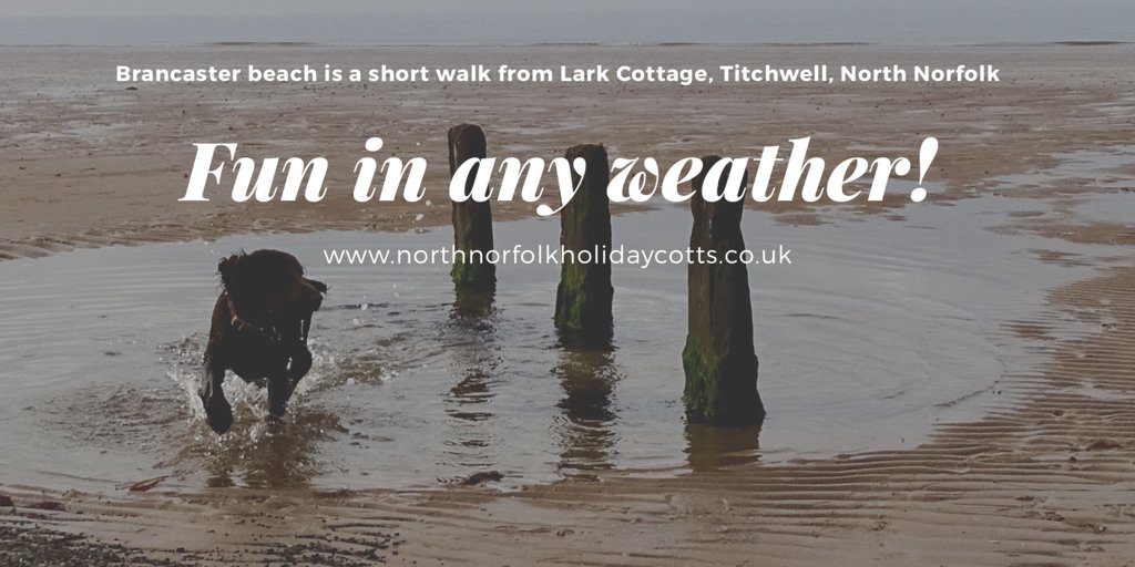 Lark Cottage, Titchwell, North Norfolk - Dog & family friendly selfcatering #holiday #dog #woof Book Now 🐾 bit.ly/2lUbzLA @TheGoodDogGuide @BookHolsDirect @DogsAdored @2posh2pitch @ministryofdog @foralldogkind #thepetbiz #dogbiz #woof