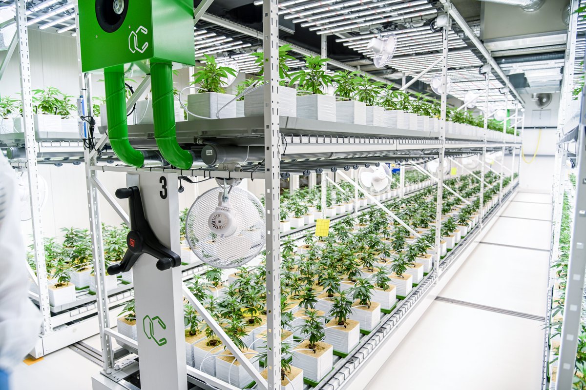 Montel_Storage's tweet photo. Lights✨, camera📹, action🎬! The Montel video crew was out @cannerald working on our next case study about Montel’s vertical farming system: The GreenRak! Stay tuned...Contact us today: growmore@montel.com #verticalfarming #CannabisCommunity #GrowMoreWithLessSpace https://t.co/ee2zqIqbcZ