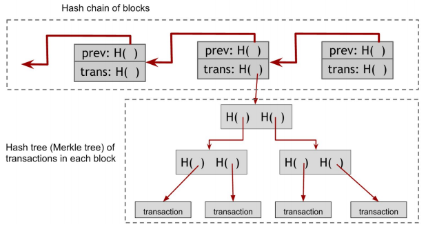 Image taken from the book Bitcoin and Cryptocurrency Technologies by Narayanan et al.

Image shows three blocks in a hash chain, along with a hash tree of transactions from one of the blocks.