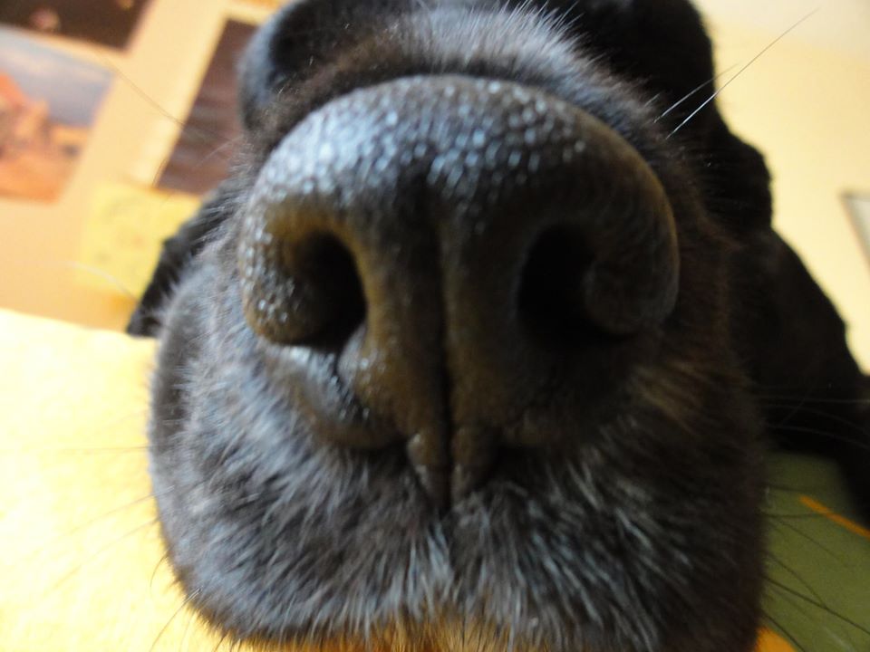 Coco Chanel tweet media