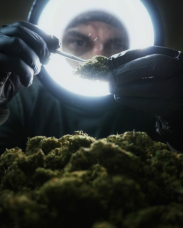 FreeFlowRising's tweet image. Quality control. ift.tt/2rB7mkT