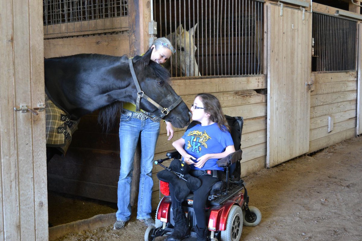 Walking Horse Source tweet media