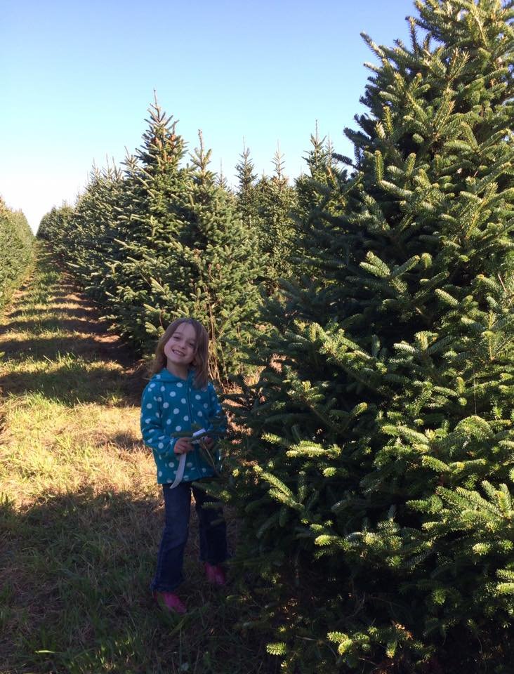 VisitTheBridges's tweet photo. There’s nothing like the hunt for the perfect Christmas tree and the aroma of pine! Our friends at the tree farms in Union County would love to help with your holiday memory-making! #christmas #christmastree #farm #holidayfun #ohiofindithere #visitunioncountyoh https://t.co/57D3uMAQje