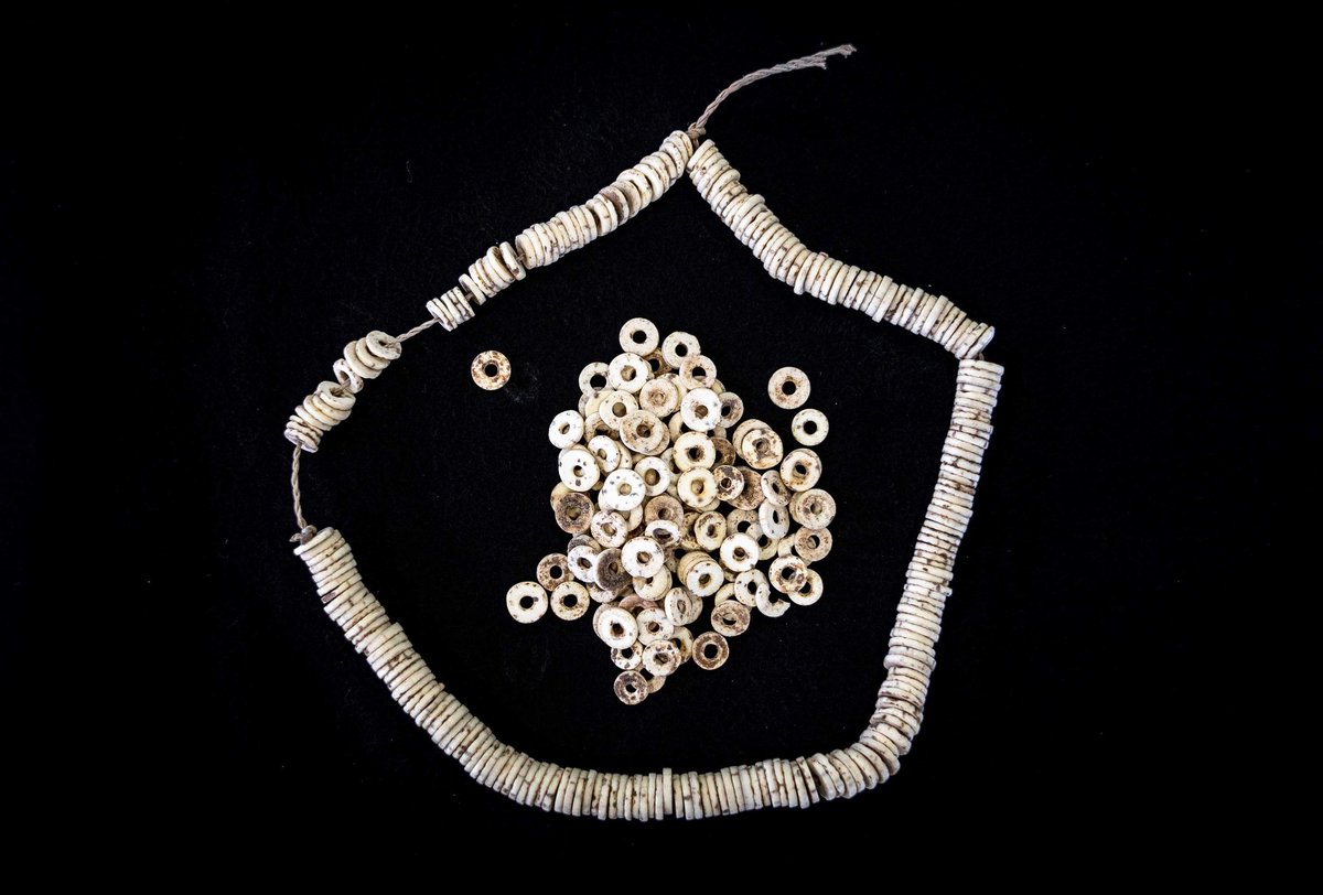  @palaeobeth and I are pleased to share our paper, out today in  @PLOSONE, about ostrich eggshell (OES) beads and the spread of herding in Africa!OES beads may be small, but they can reveal big stories about ancient human interaction. (a thread)Link:  https://journals.plos.org/plosone/article?id=10.1371/journal.pone.0225143